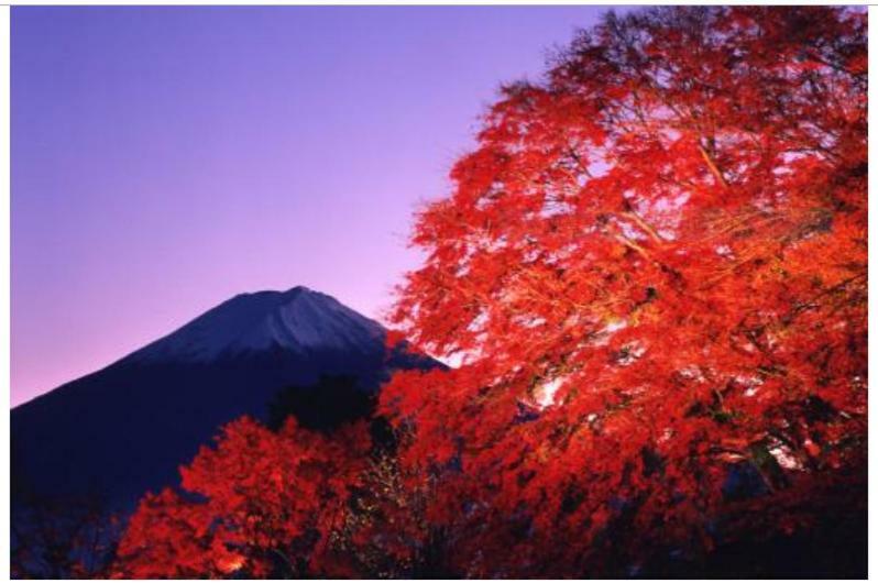 Erable Mt.Fuji "Kaze" Villa Fujikawaguchiko Luaran gambar